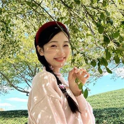 博尼法斯修女探案集第三季封面