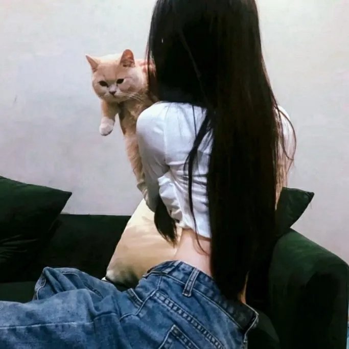 幸福的面条封面